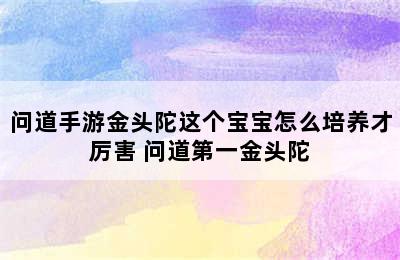 问道手游金头陀这个宝宝怎么培养才厉害 问道第一金头陀